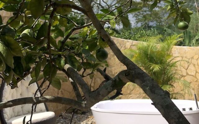 Verano Azul Eco Hotel