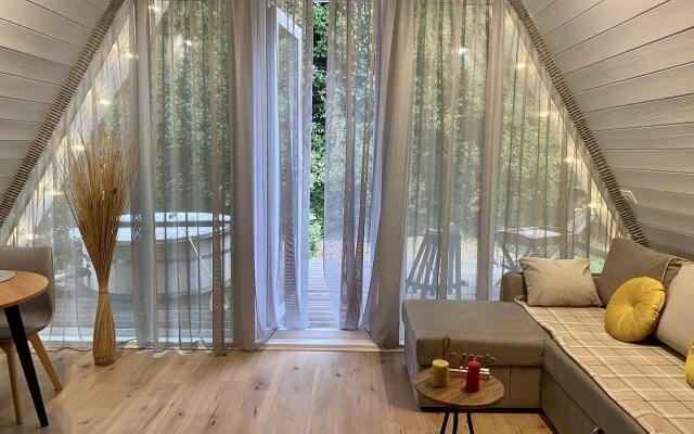 Pine Forest
