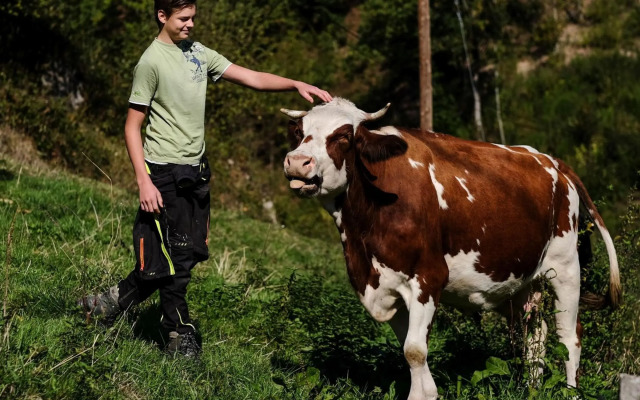 Ferienwohnungen Giedensbach