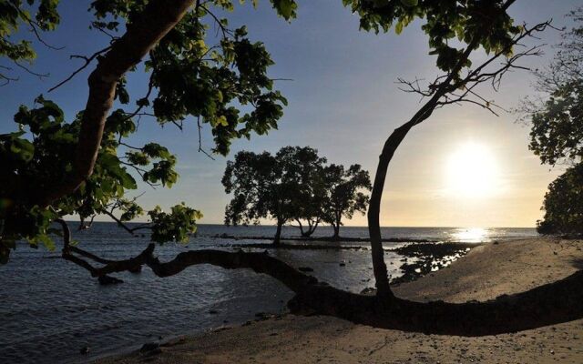 Jungle Beach Resort