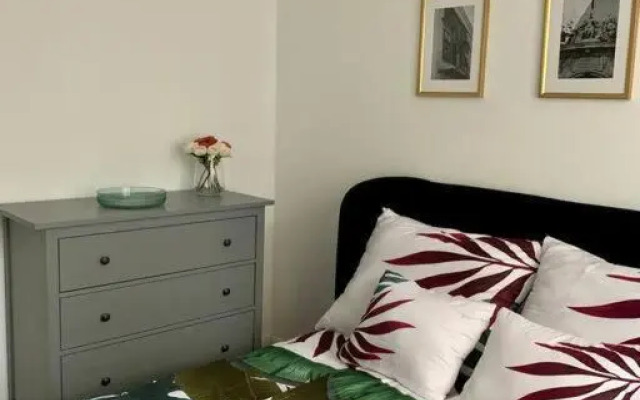 Sicomoro Casa