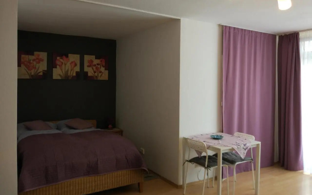 HAUSBURG studio. City view