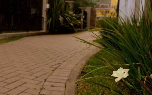 Apartamento Terraneo 103 A