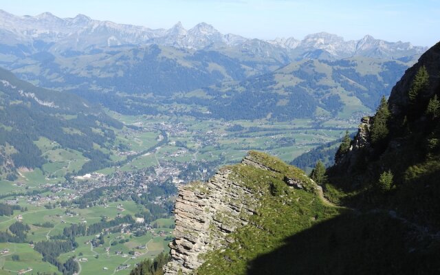 Alpenchalet Weidhaus