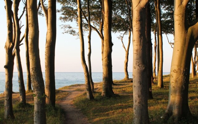 Spacious Apartment in Nienhage with Terrace