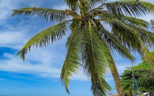 Pousada Caribe Itacimirim