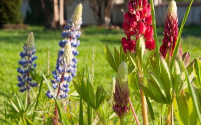 Transylvania Guesthouses