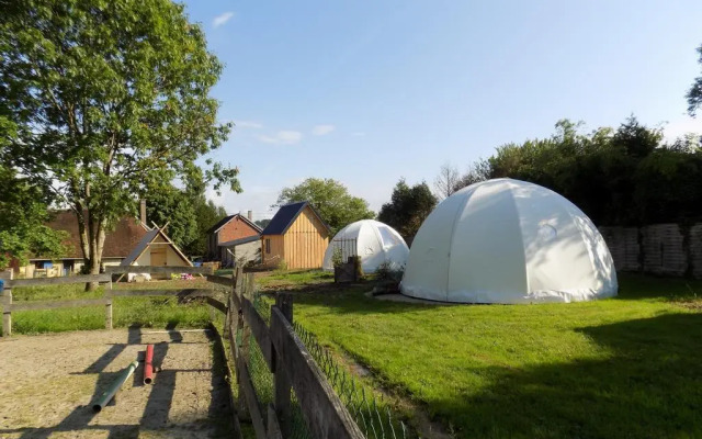 La chouette étoilée