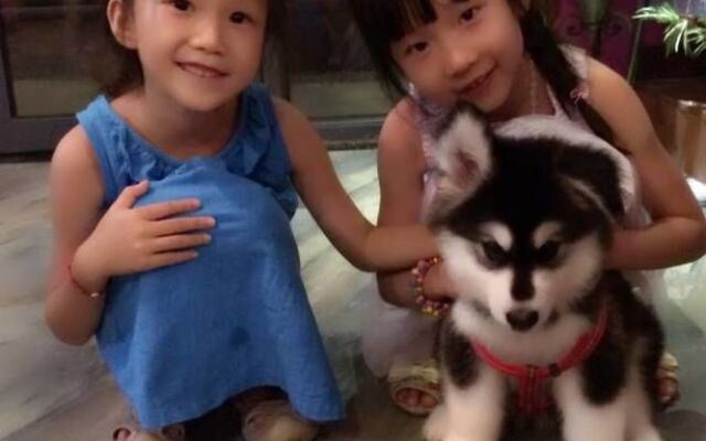 Ruozhi Youlan Putike Hotel - Hangzhou