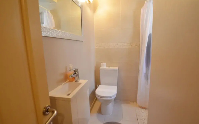 Trendy and Chic Rovinj Downtown Apartments