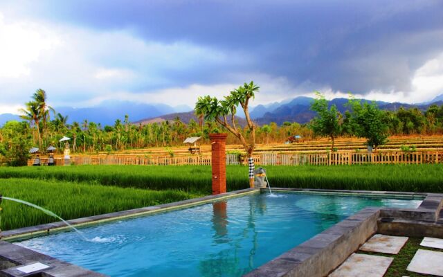 Umma Bali Menjangan