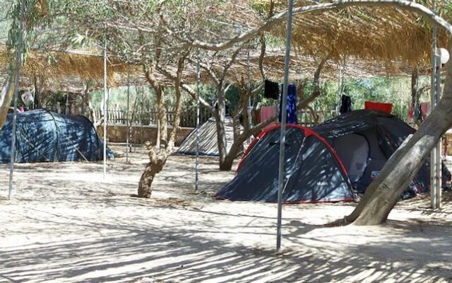 Plaka Camping Naxos