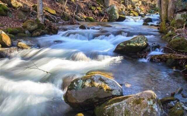 A Love Shack 1 Bedroom Cabin by RedAwning