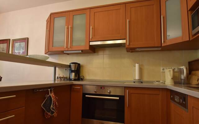 Modern Apartment in Podebrady Near River