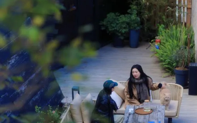 LIJIANG Shenlv··Snow Mountain Courtyard·Wild Luxury Forest Treehouse Designer Homestay – People – Lijiang