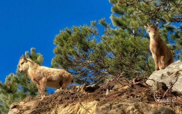 Residence Casa Federica