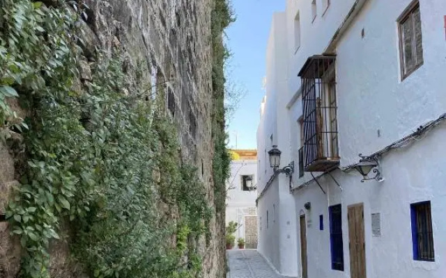 Erizo 3 loft diafáno en el Centro Histórico