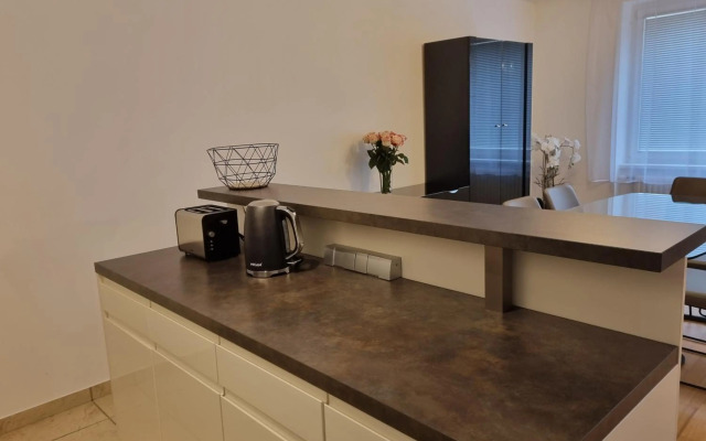 Elegant Vienna Apartment