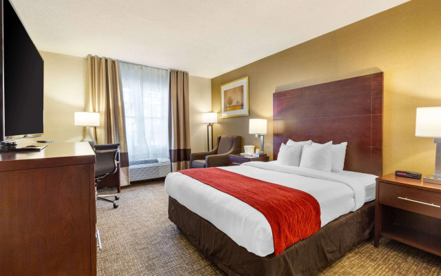 Comfort Inn Auburn - Worcester