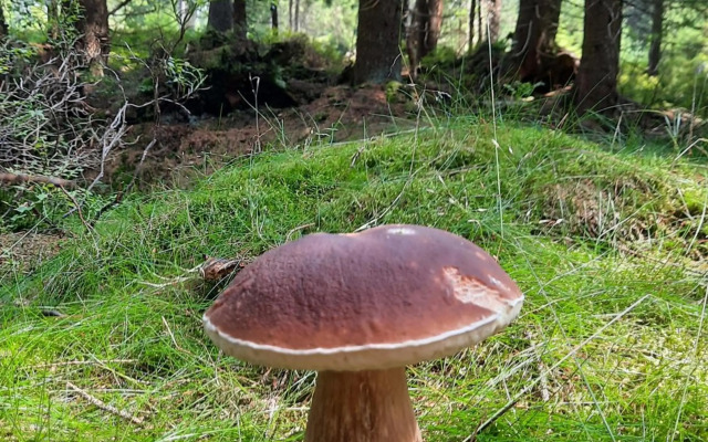 Velký apartmán Cihlarka pro až 17 osob