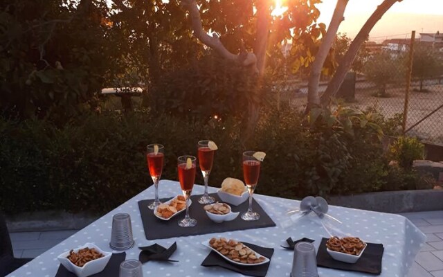 BB La Mariposa De La Reina