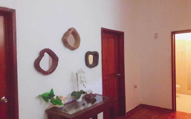 Hostel La Isla Holbox