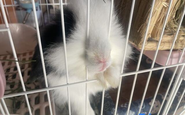 Seaview Forest Life·Aerobic (Shengsi Nanchangtu Beach Branch)