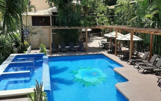 Maya Tulipanes Express