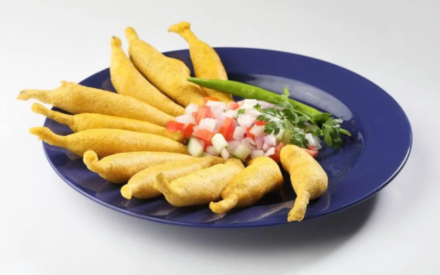 OYO 23064 Mewar Darshan