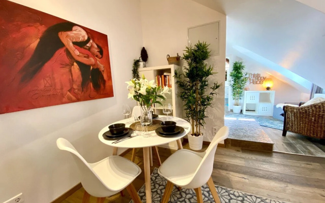Beautiful 1BR Apt w View Historic Town