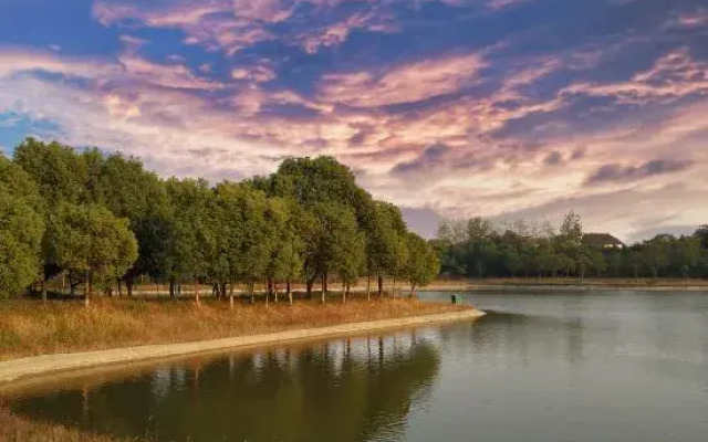 Yinlin Villa Resort