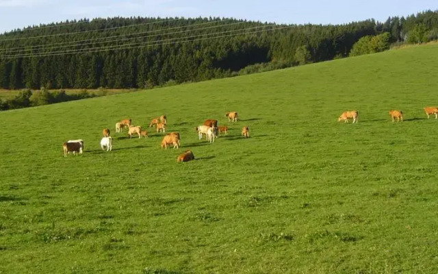 Ferienwohnung Kamitter