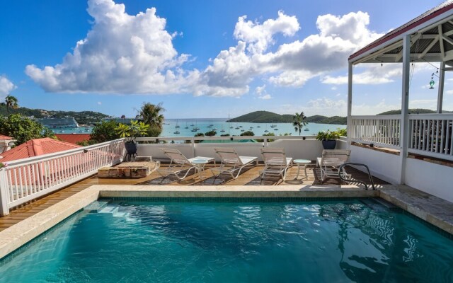 At Home in the Tropics