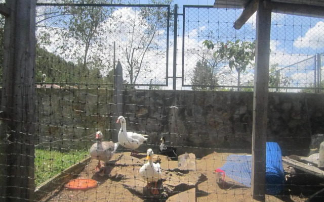 Villa de Libertad DF