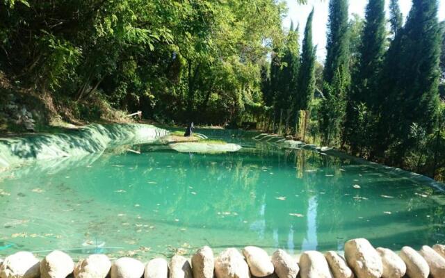 Villa d'epoca sul Lago di Garda con piscina