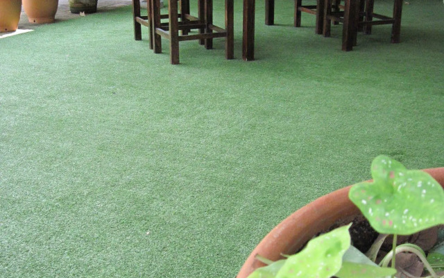 Sakura House Chiangmai