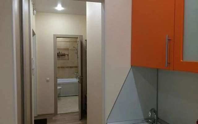 Apartment on Geologorazvedchikov 44a