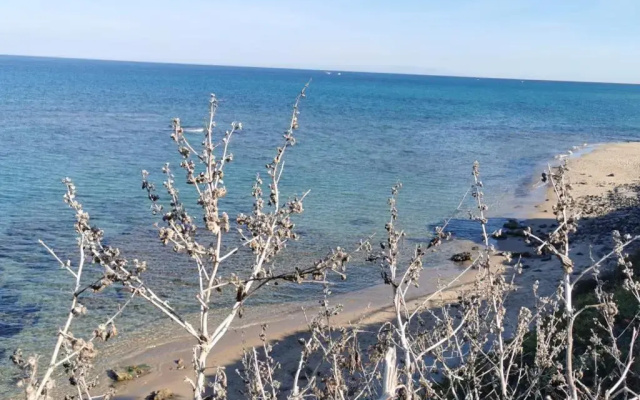 Apartamento 70 Metri della spiaggia