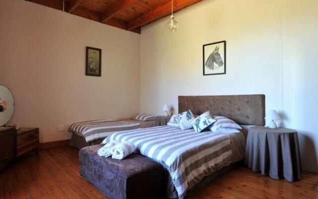 Paarl Diamant Equestrian And Guest Farm