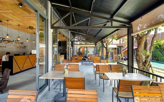 Tropical Forest Hostel & Apartments