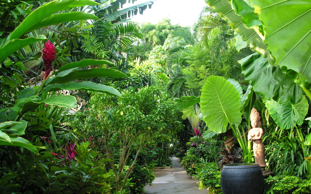 White House Beach Resort And Spa