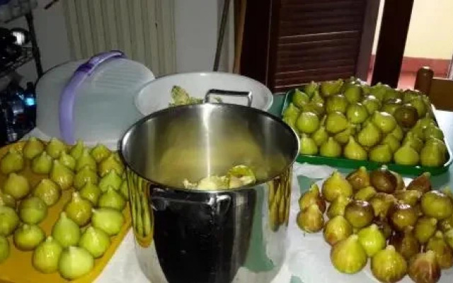 B&B Il Glicine Di Basiglio