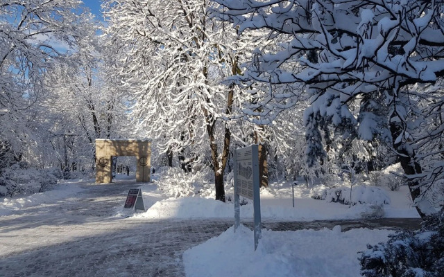 Art Boutique Central