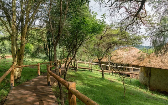 Ngorongoro Forest Tented Lodge