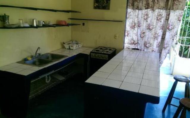 Real Dominican Republic Discovery