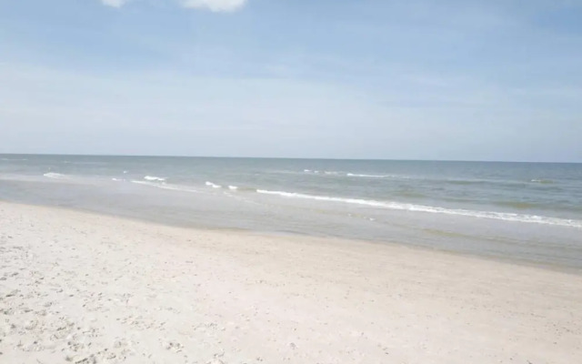 Art Forrest 33 M in Rogowo