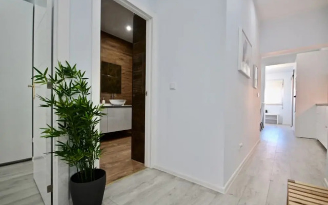 Akicity Arroios Selected