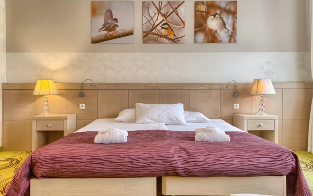 Hanza Pałac Wellness&SPA
