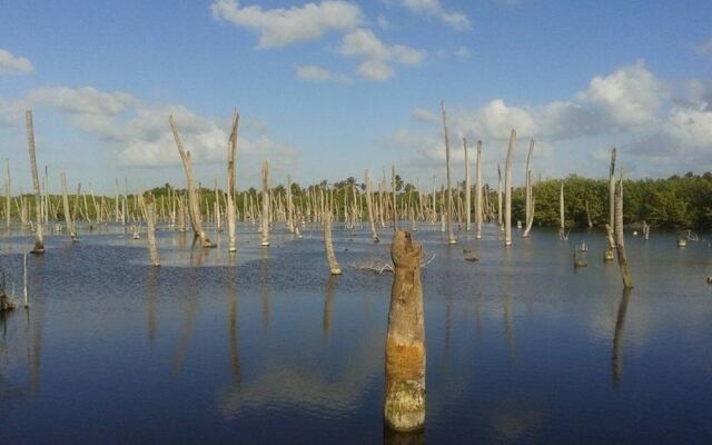 Caribbean Experience Playa Bavaro 2r. (05)