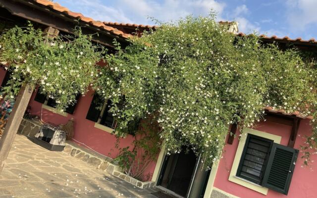 Summer House Surrounded by Olive Trees Halkidiki